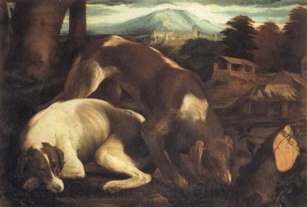 Jacopo Bassano Two Dogs Norge oil painting art